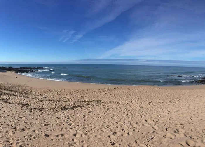 Pineapple Surf House *