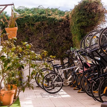 אכסניה Pineapple Surf House *