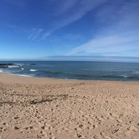 Pineapple Surf House *