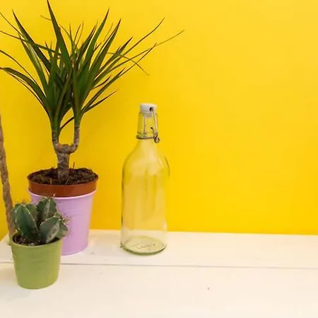 אכסניה Pineapple Surf House *