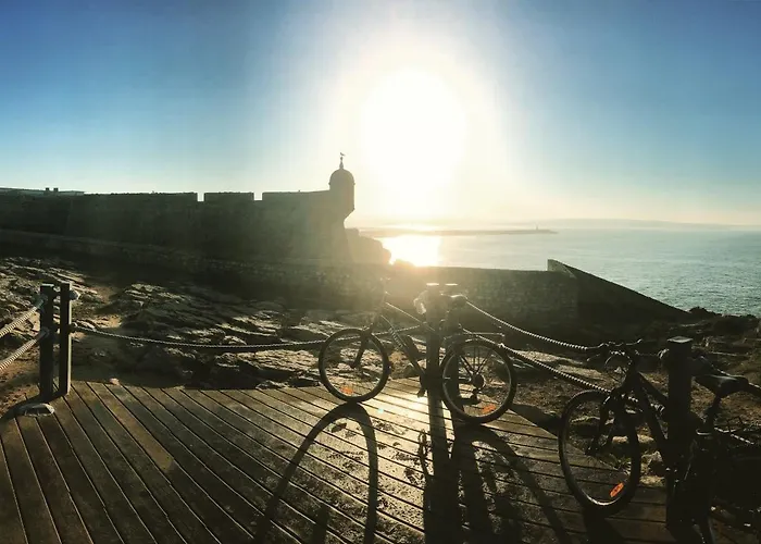 Pineapple Surf House ホステル