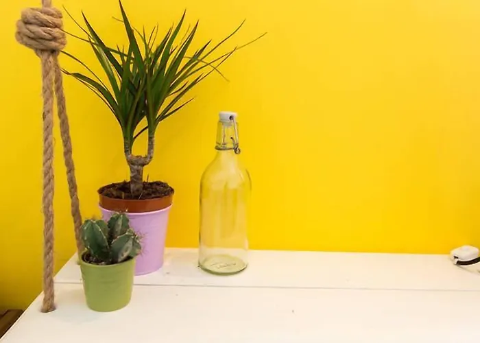 ホステル Pineapple Surf House *