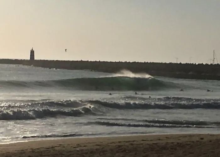 Pineapple Surf House ホステル アトウギア・ダ・バレイア