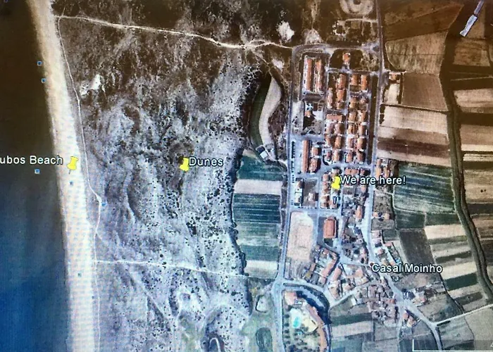 ホステル Pineapple Surf House アトウギア・ダ・バレイア